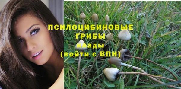 не бодяженный Куйбышев