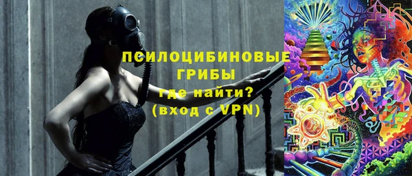 шишки Кукмор