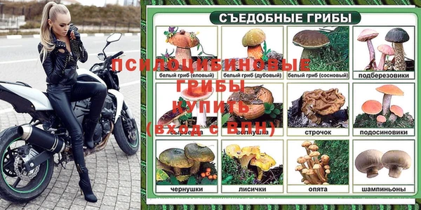 шишки Кукмор