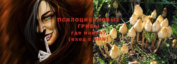 шишки Кукмор
