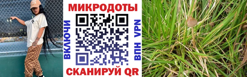 Галлюциногенные грибы Psilocybine cubensis  Купить закладки  Нариманов 